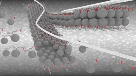 分子纳米带作为电子高速公路